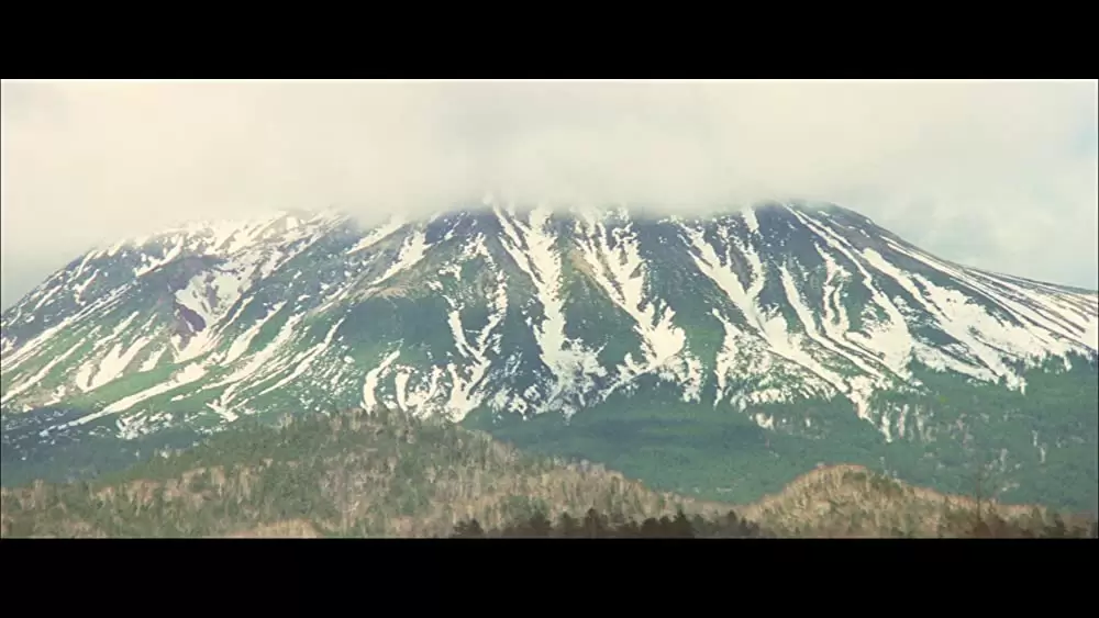 幸福の黄色いハンカチの画像