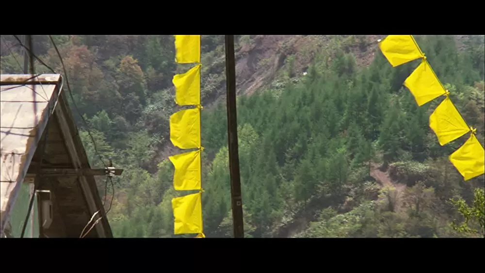 幸福の黄色いハンカチの画像