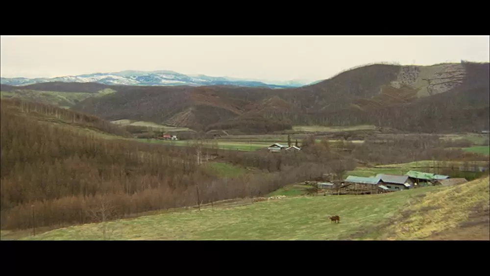 幸福の黄色いハンカチの画像