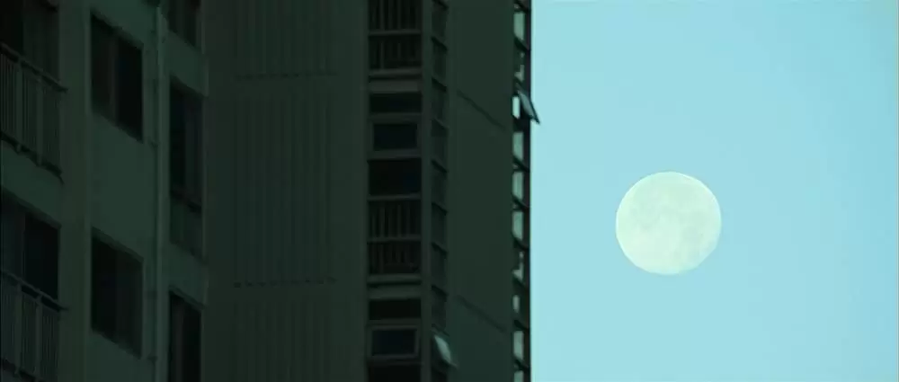 彼とわたしの漂流日記の画像