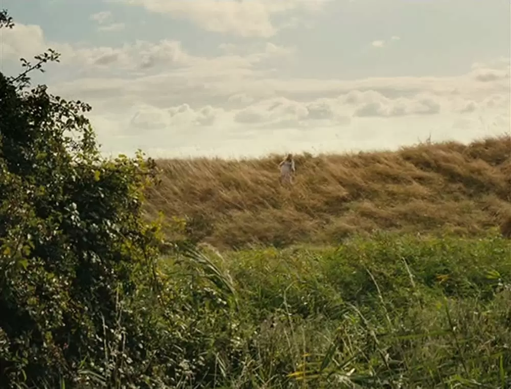 フィッシュタンク〜ミア、15歳の物語の画像