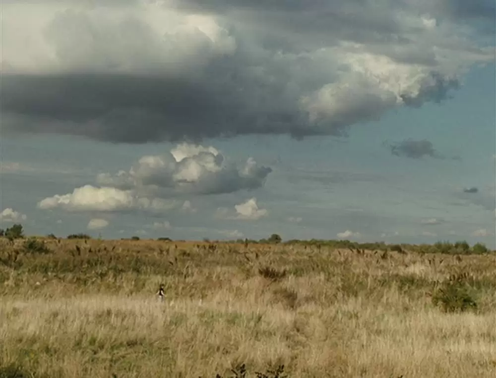 フィッシュタンク〜ミア、15歳の物語の画像