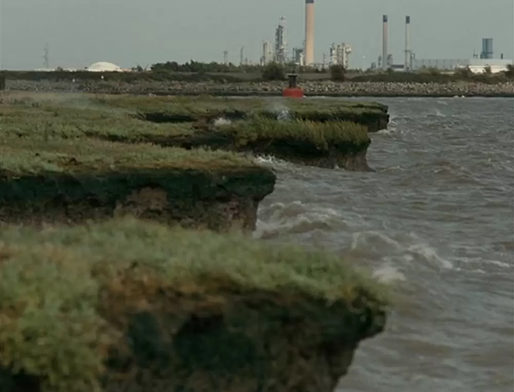 フィッシュタンク〜ミア、15歳の物語の画像