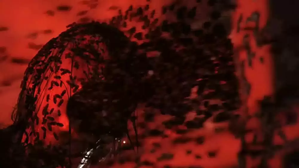 THE JOYUREI 女優霊の画像