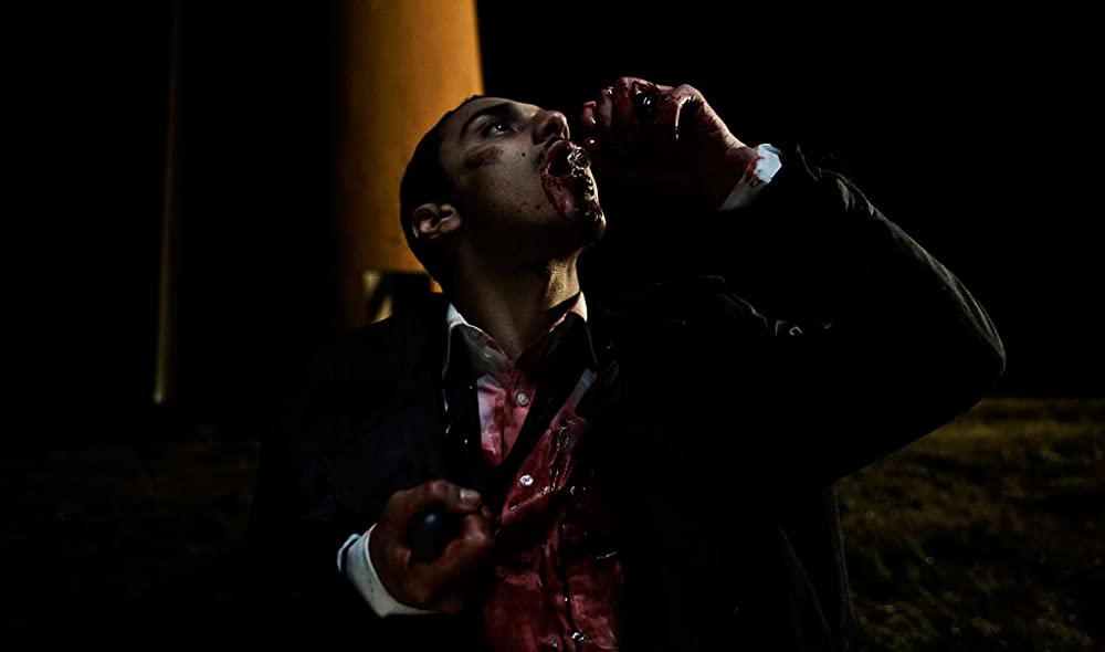 レイキャヴィク・ホエール・ウォッチング・マサカーの画像