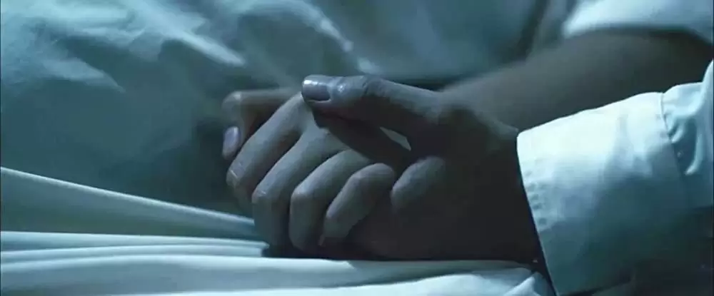 サンザシの樹の下での画像