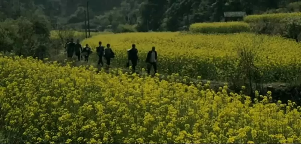 サンザシの樹の下での画像