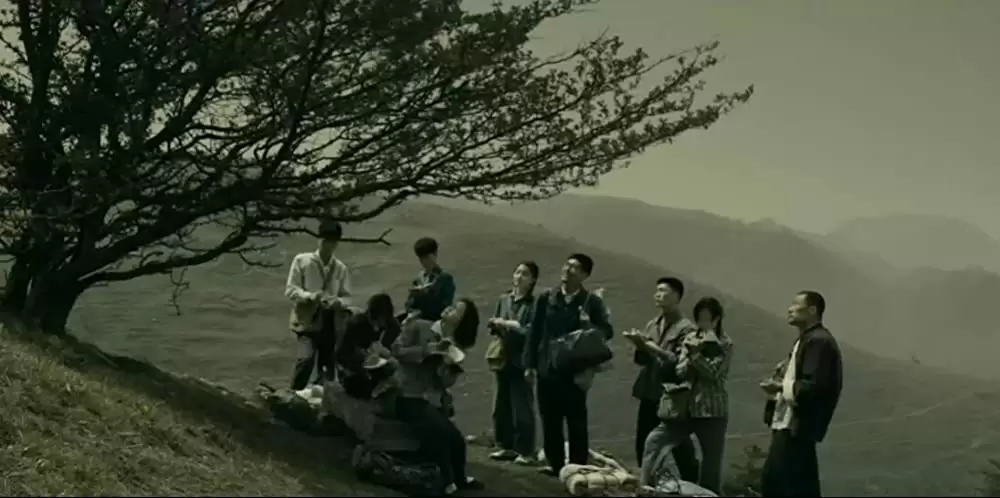 サンザシの樹の下での画像