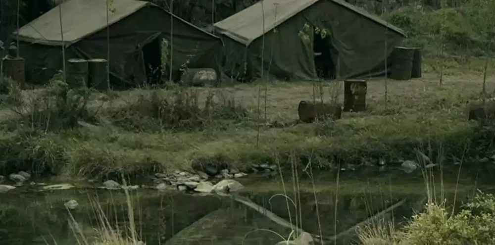 サンザシの樹の下での画像