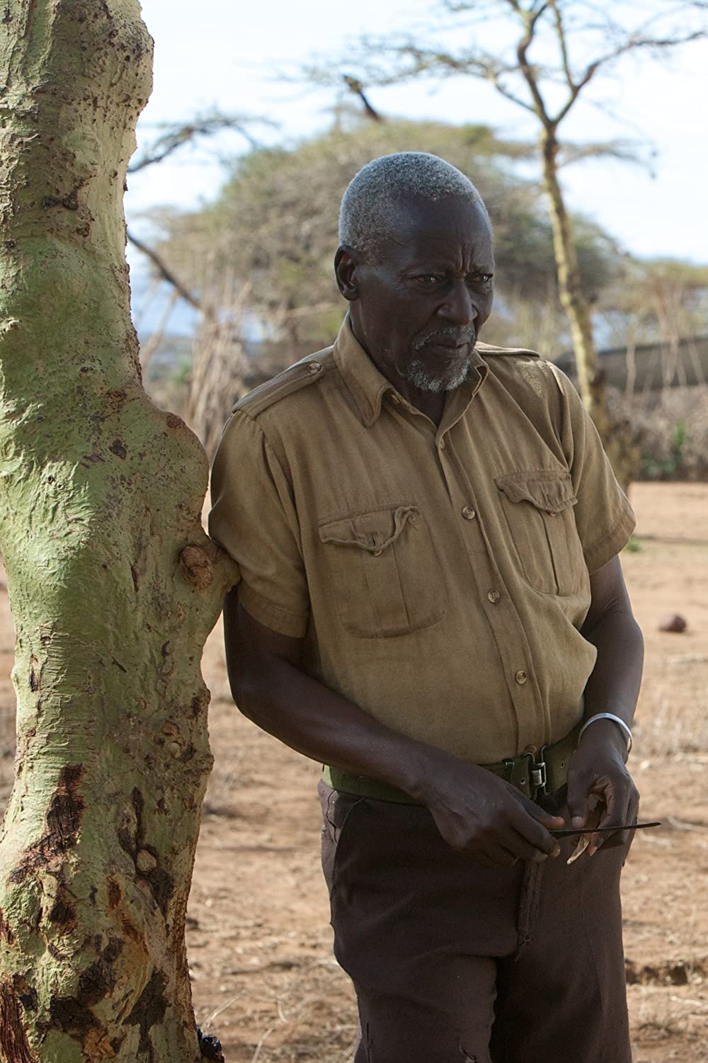 おじいさんと草原の小学校の画像