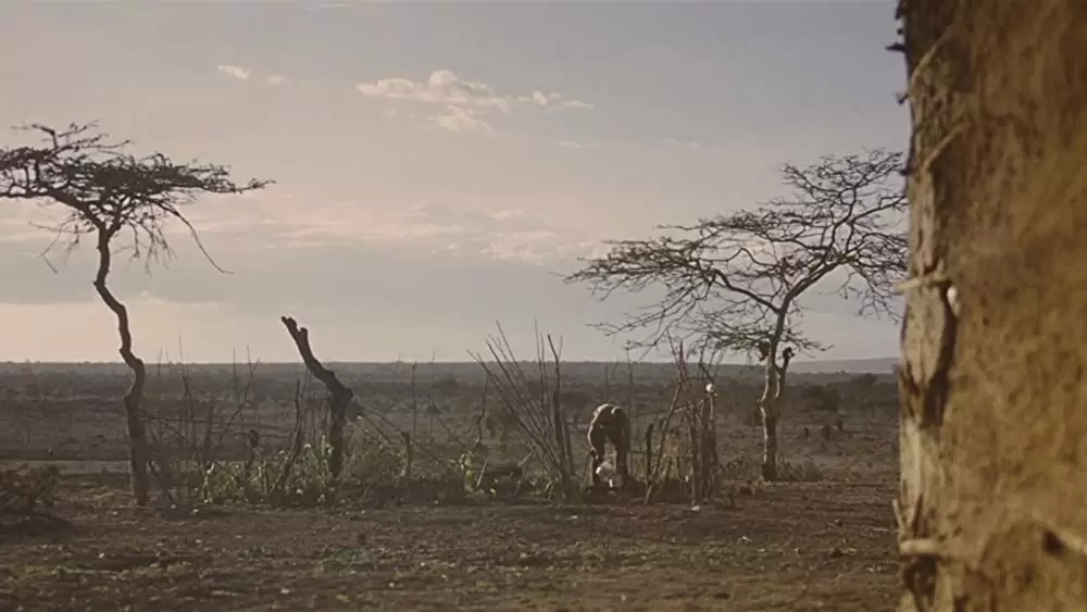 おじいさんと草原の小学校の画像
