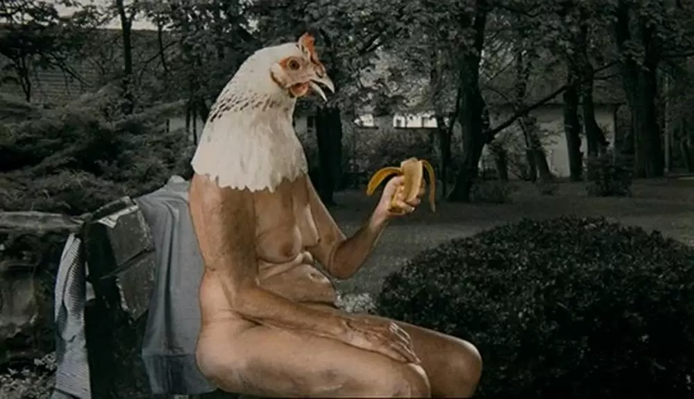 サヴァイヴィング ライフ -夢は第二の人生-の画像