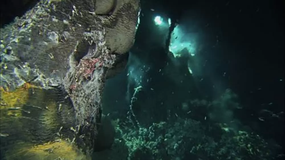 エイリアンズ・オブ・ザ・ディープの画像