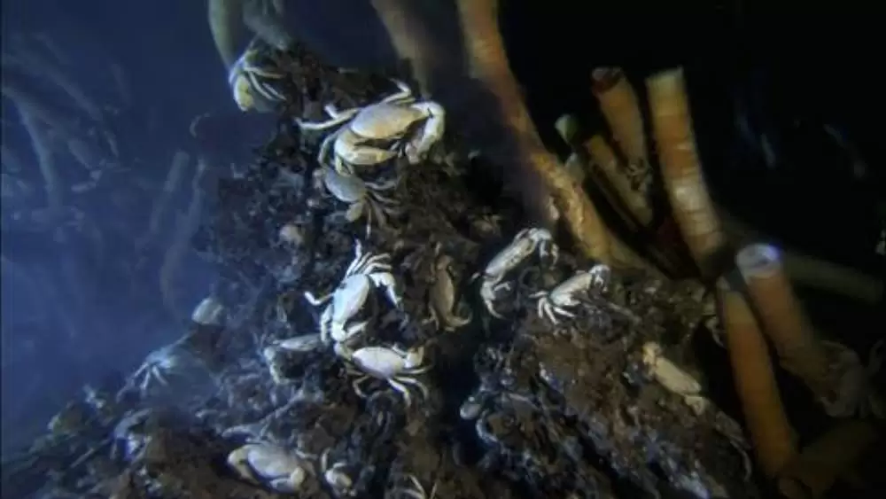 エイリアンズ・オブ・ザ・ディープの画像