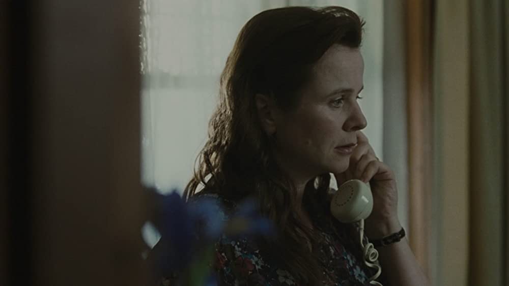 オレンジと太陽の画像