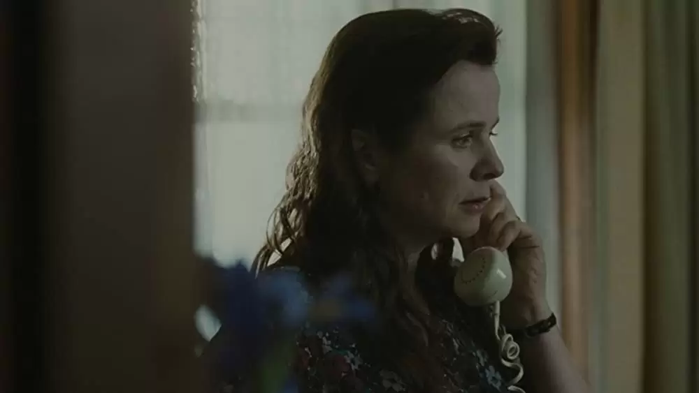 オレンジと太陽の画像