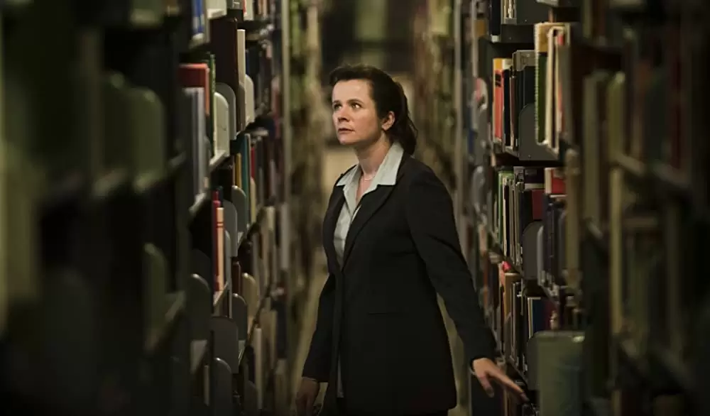 オレンジと太陽の画像