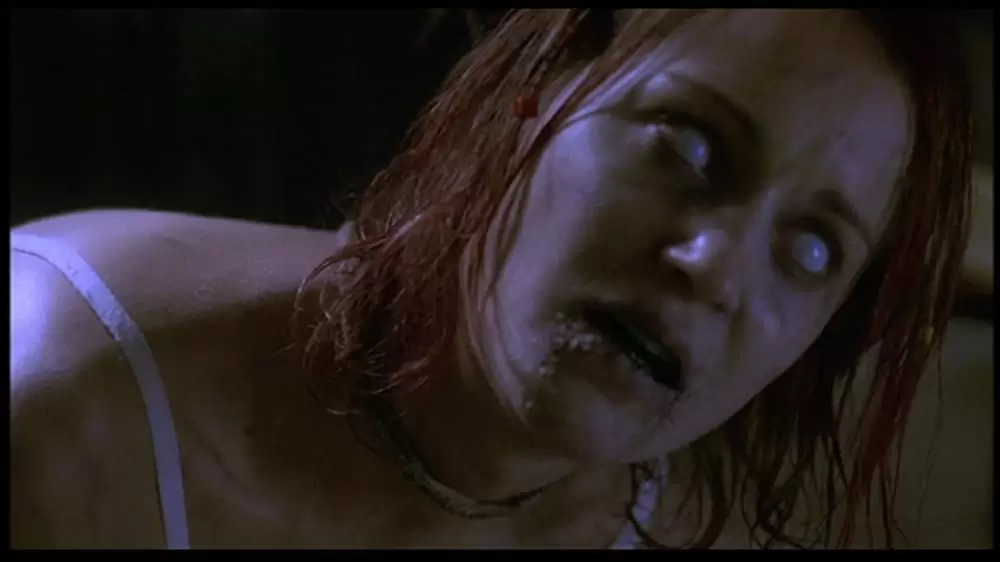 ヘルレイザー ワールド・オブ・ペインの画像