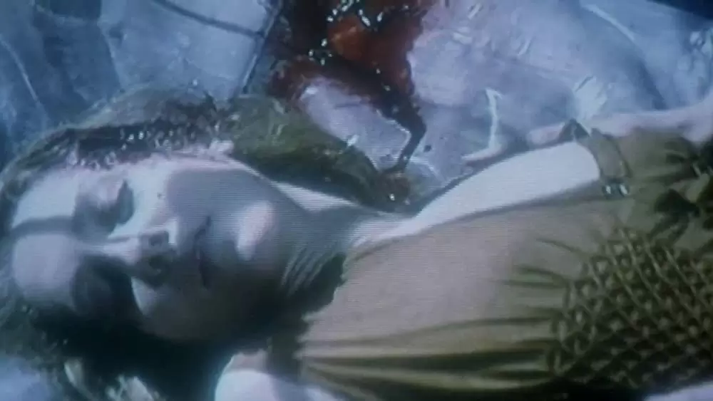 ヘルレイザー ワールド・オブ・ペインの画像