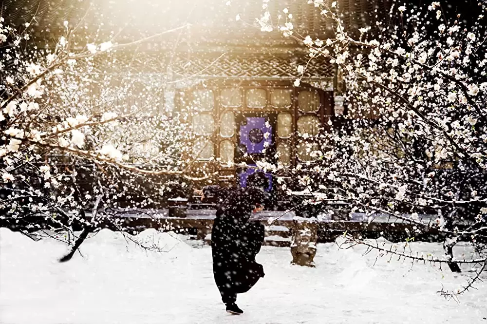 グランド・マスターの画像