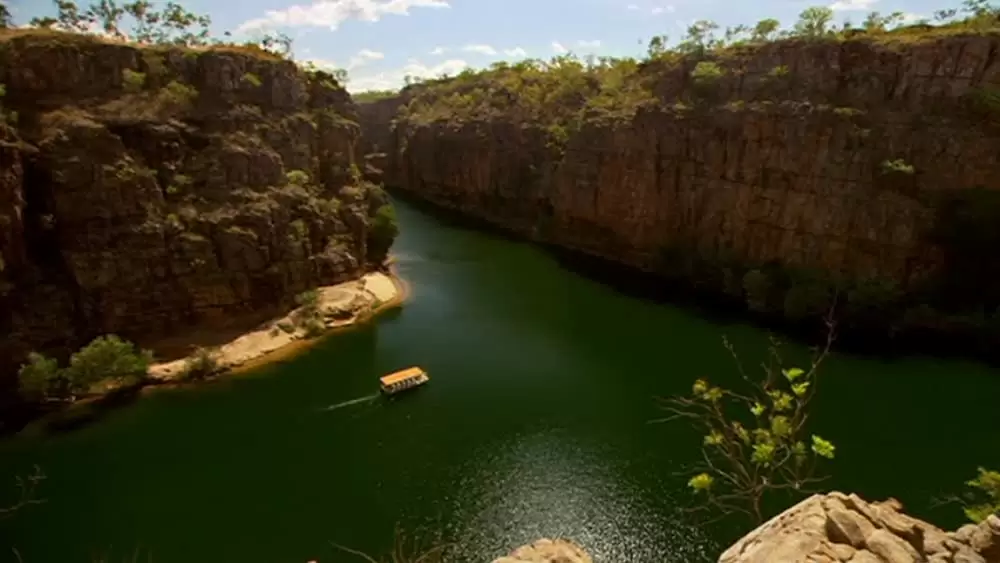 マンイーターの画像