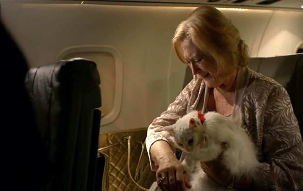 REC:レック／ザ・クアランティン２ ターミナルの惨劇の画像