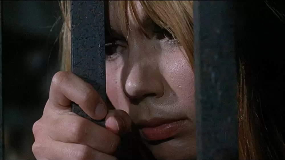 残酷女刑務所の画像