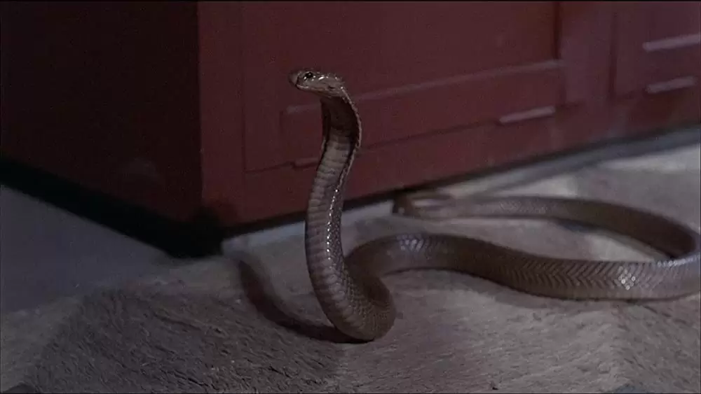 残酷女刑務所の画像