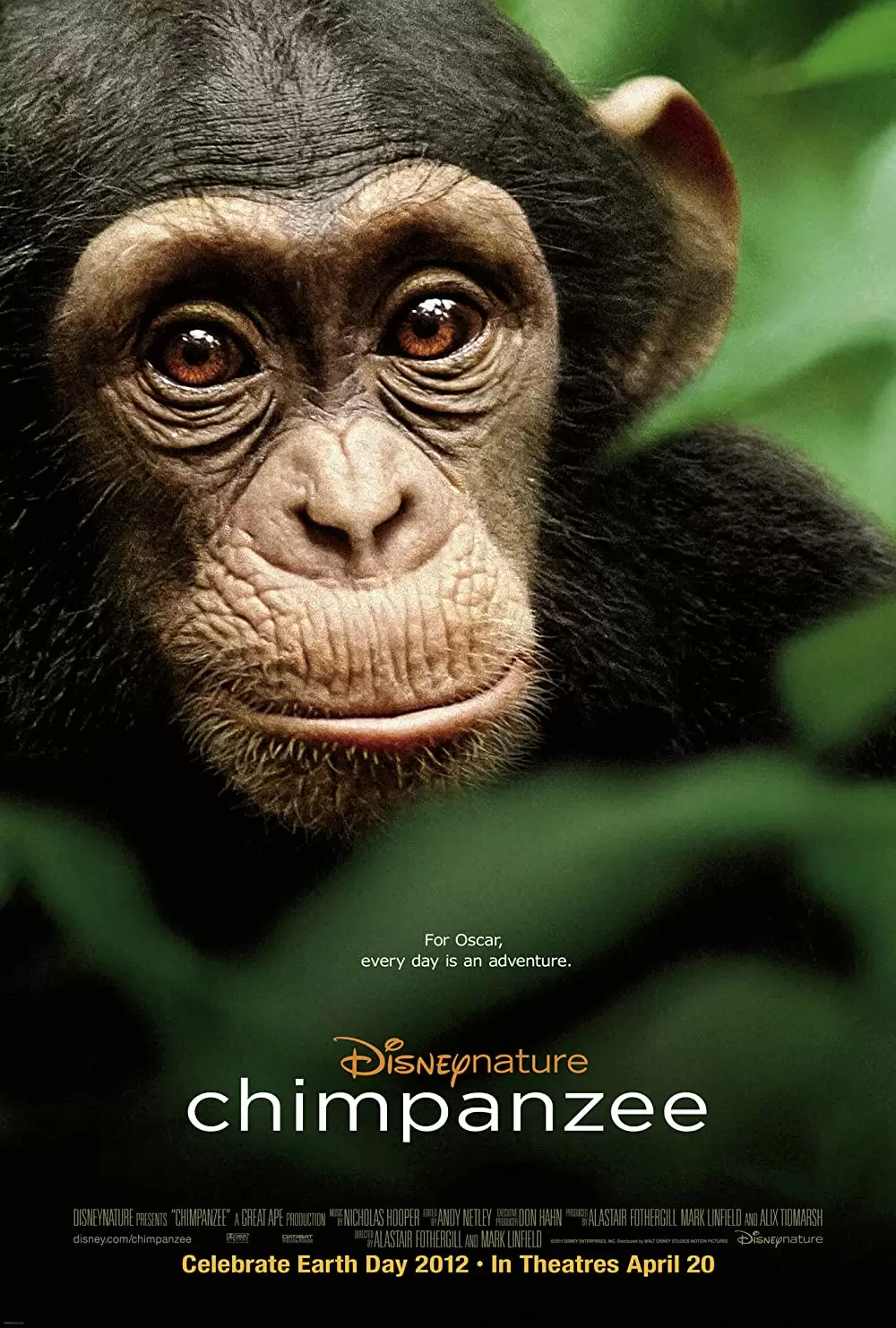 「ディズニーネイチャー チンパンジー 愛すべき大家族」の画像