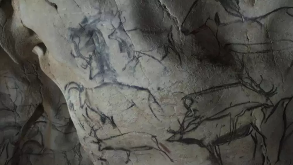 世界最古の洞窟壁画 35mm 忘れられた夢の記憶の画像