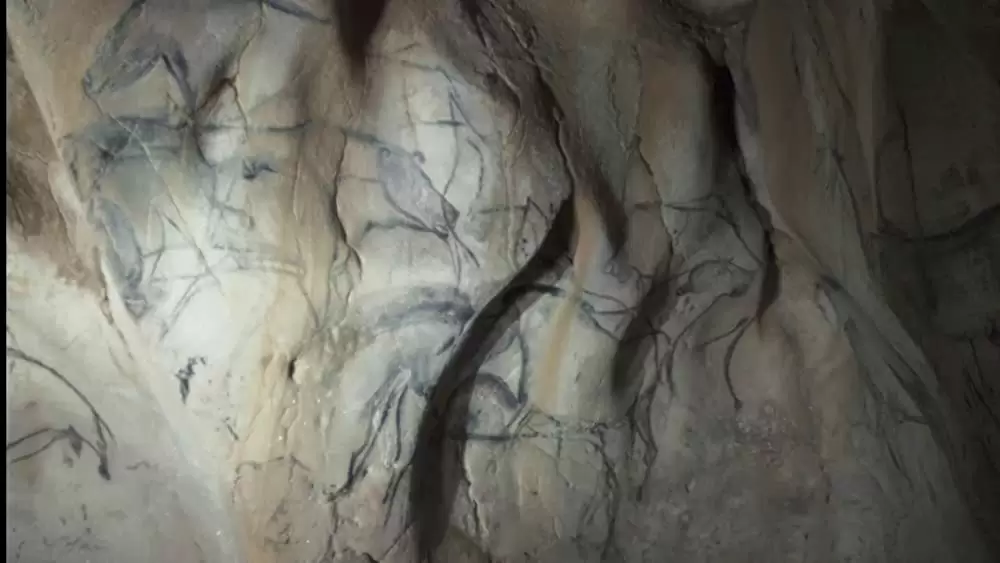 世界最古の洞窟壁画 35mm 忘れられた夢の記憶の画像