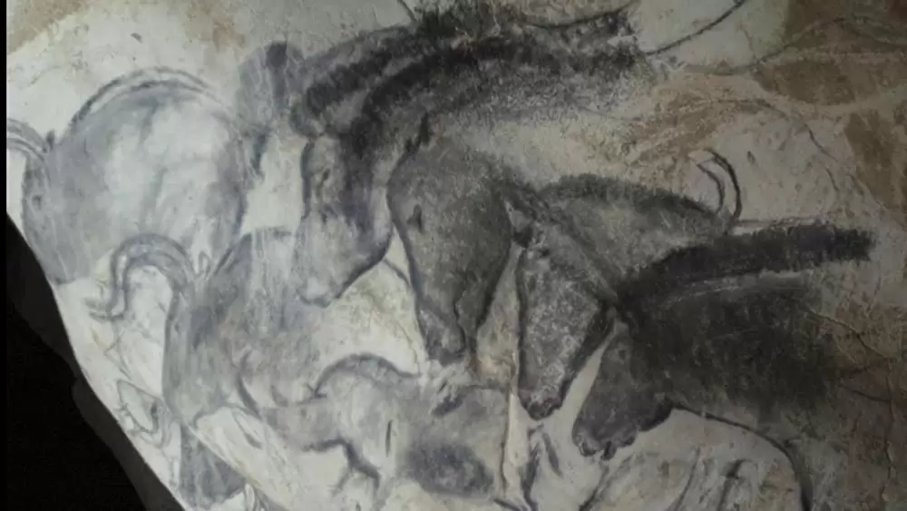 世界最古の洞窟壁画 35mm 忘れられた夢の記憶の画像