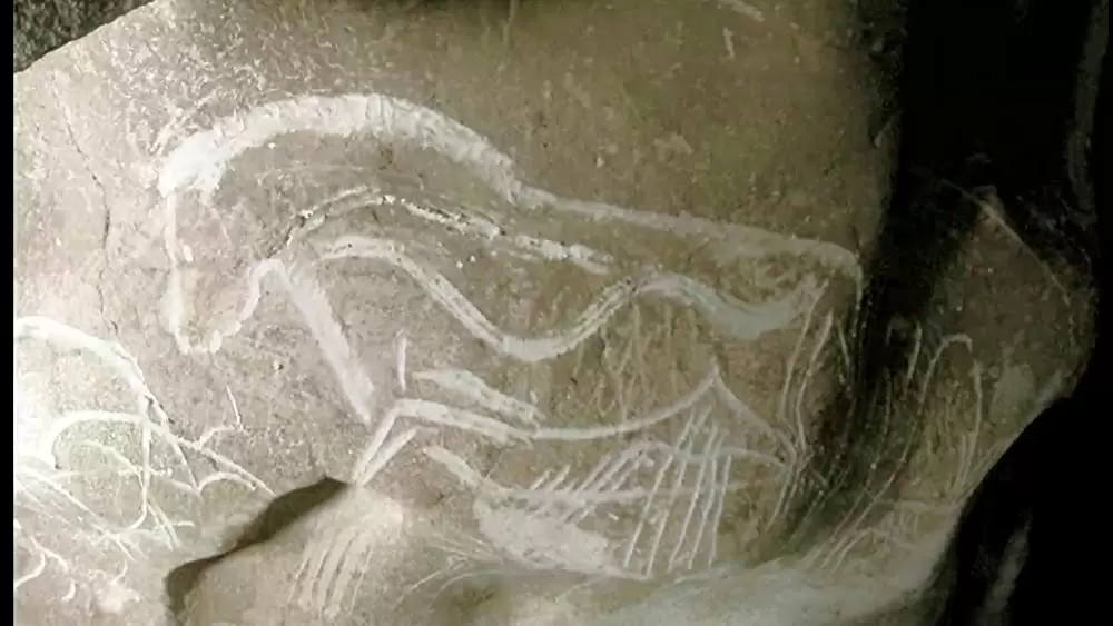 世界最古の洞窟壁画 35mm 忘れられた夢の記憶の画像