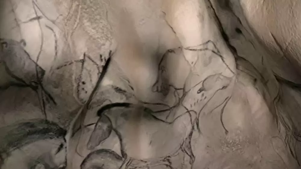 世界最古の洞窟壁画 35mm 忘れられた夢の記憶の画像