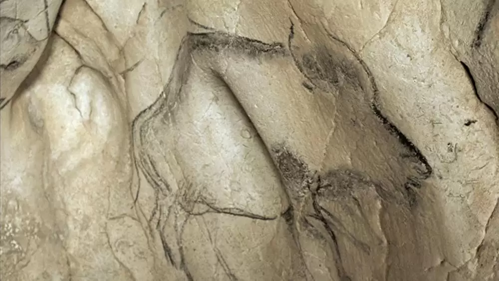 世界最古の洞窟壁画 35mm 忘れられた夢の記憶の画像