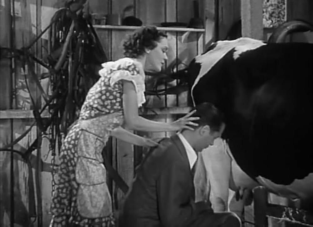 愛の隠れ家の画像