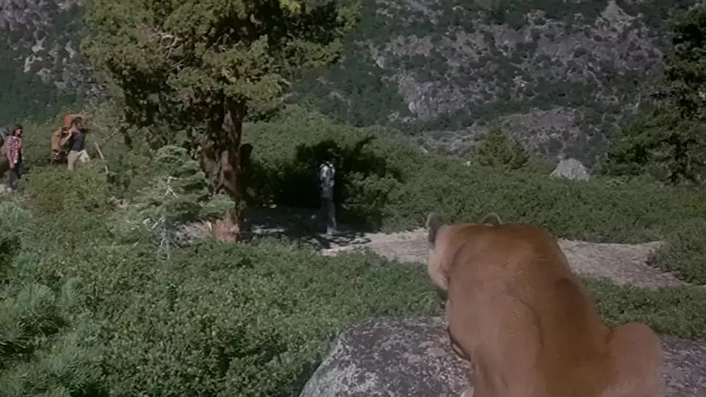 アニマル大戦争の画像