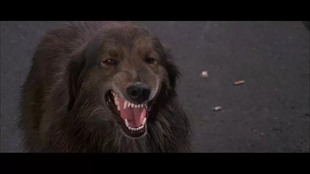 アニマル大戦争の画像