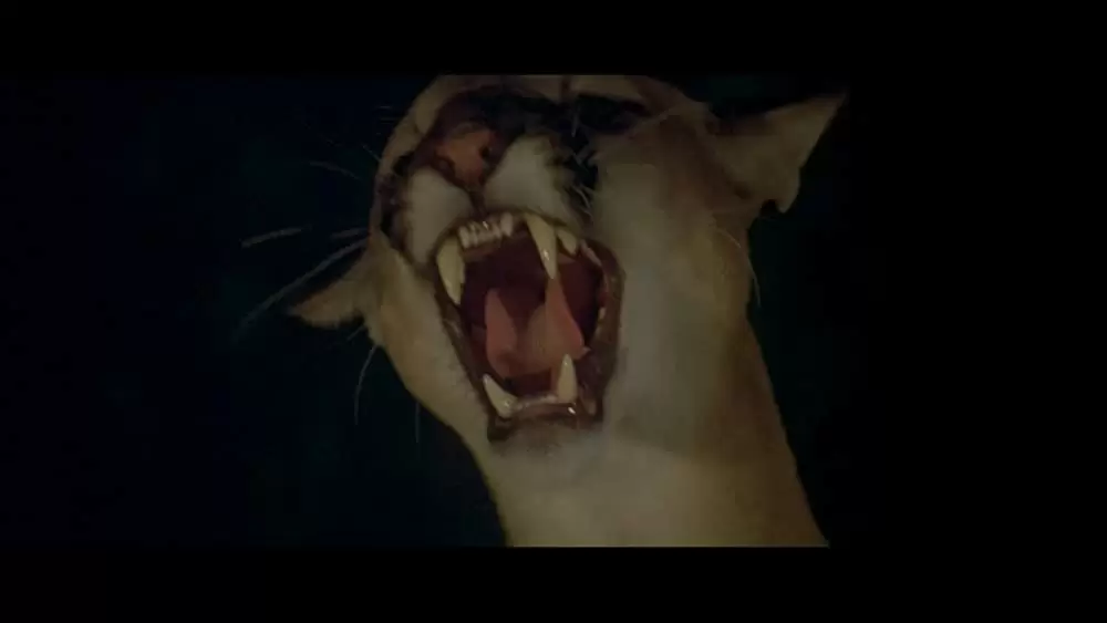 アニマル大戦争の画像