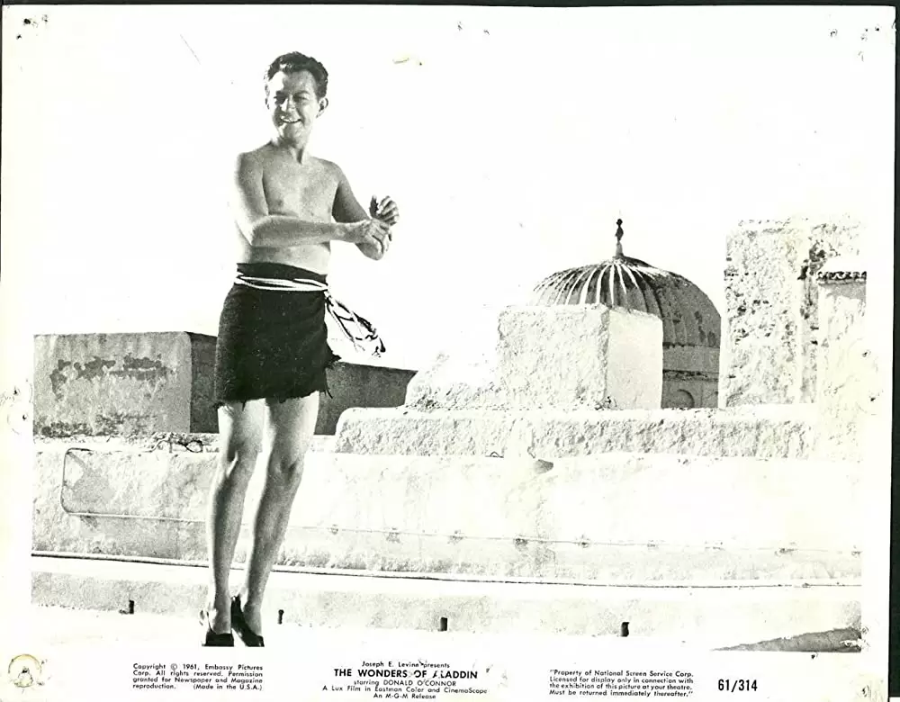 「アラジンと女盗賊」ドナルド・オコナーの画像