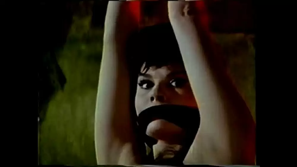 「アラジンと女盗賊」Noëlle Adam & ドナルド・オコナーの画像