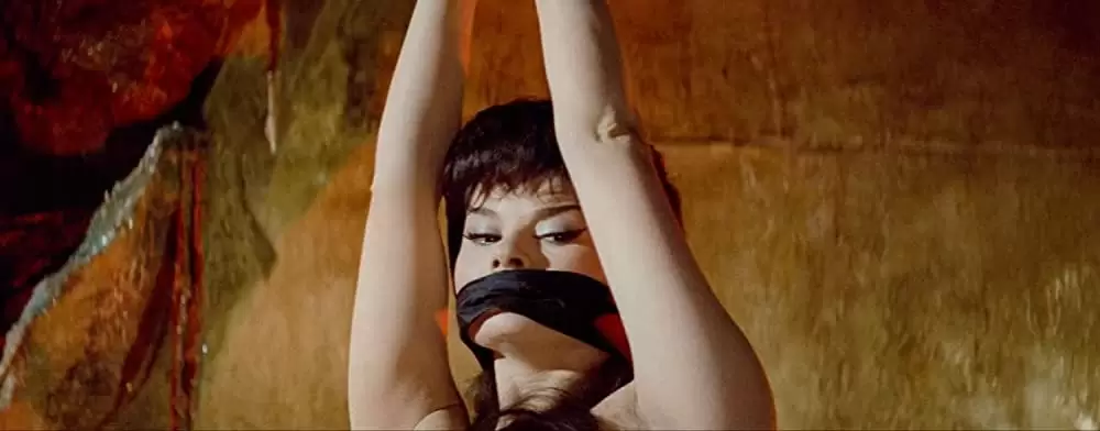 「アラジンと女盗賊」Noëlle Adam & ドナルド・オコナーの画像