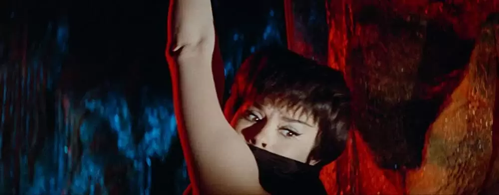 「アラジンと女盗賊」Noëlle Adam & ドナルド・オコナーの画像