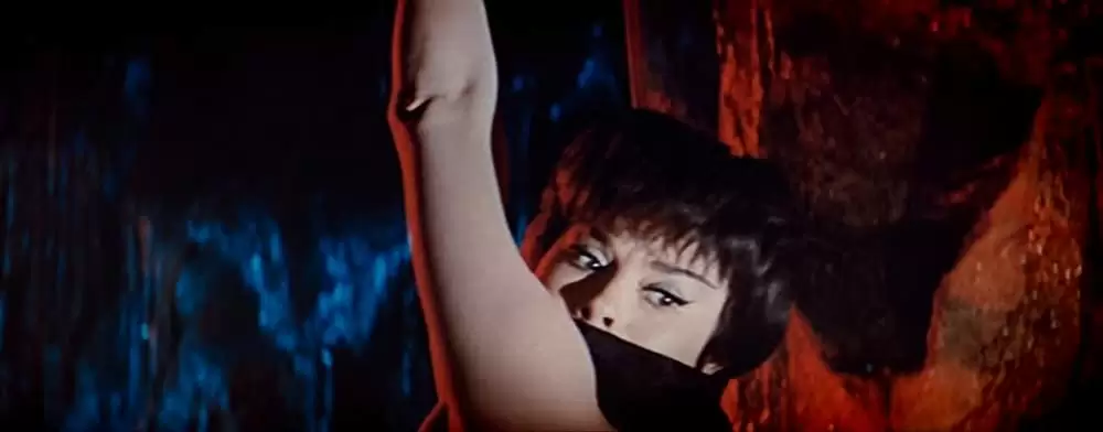 「アラジンと女盗賊」Noëlle Adam & ドナルド・オコナーの画像