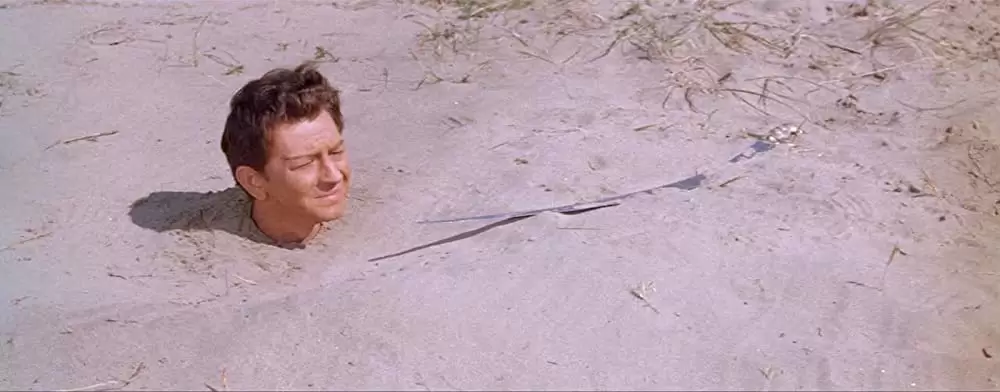 「アラジンと女盗賊」ドナルド・オコナーの画像