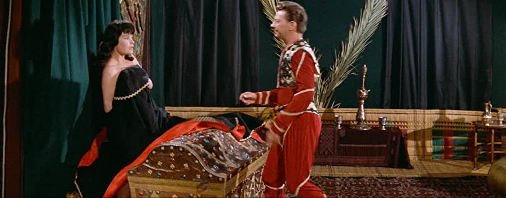 アラジンと女盗賊の画像