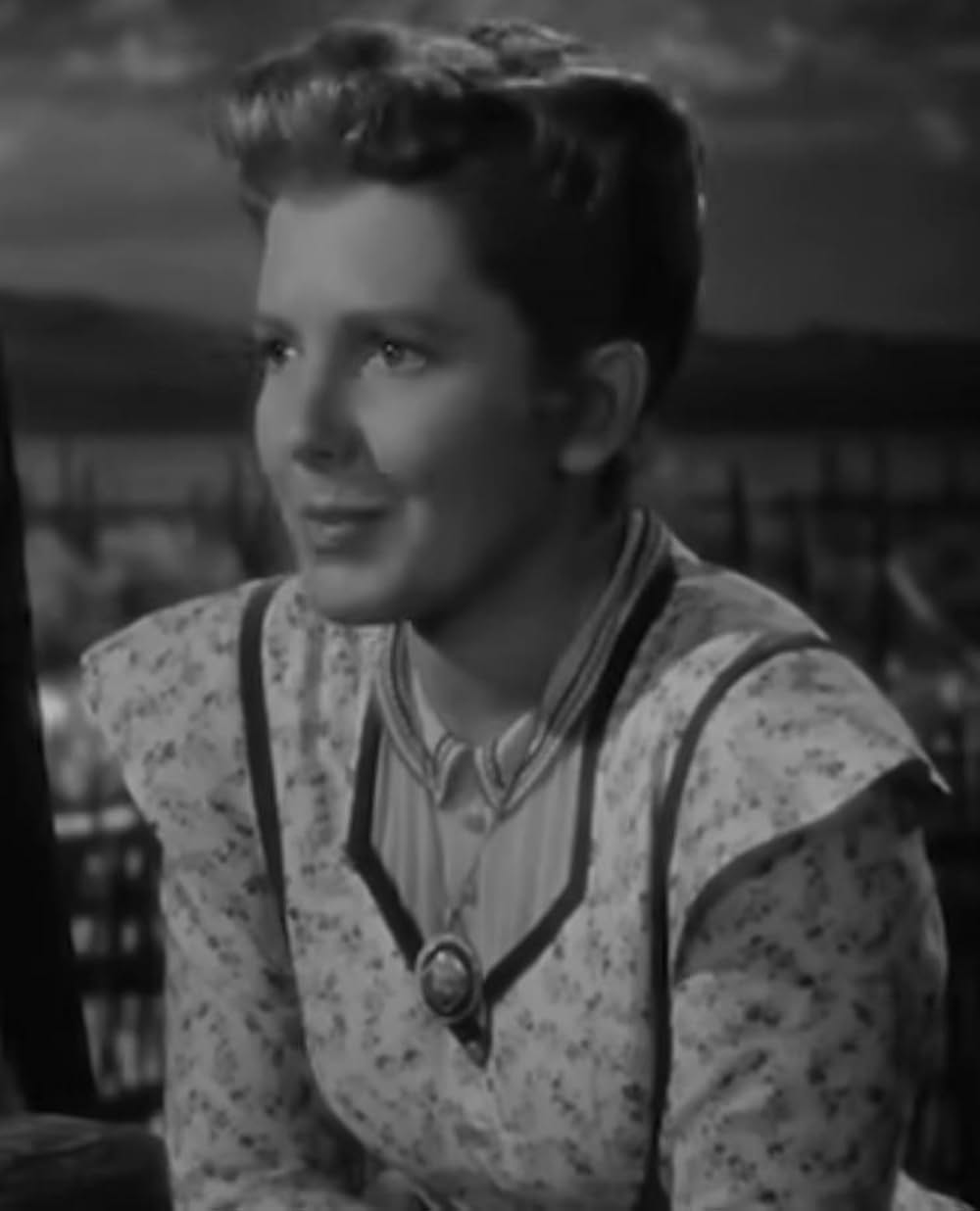 アリゾナの画像