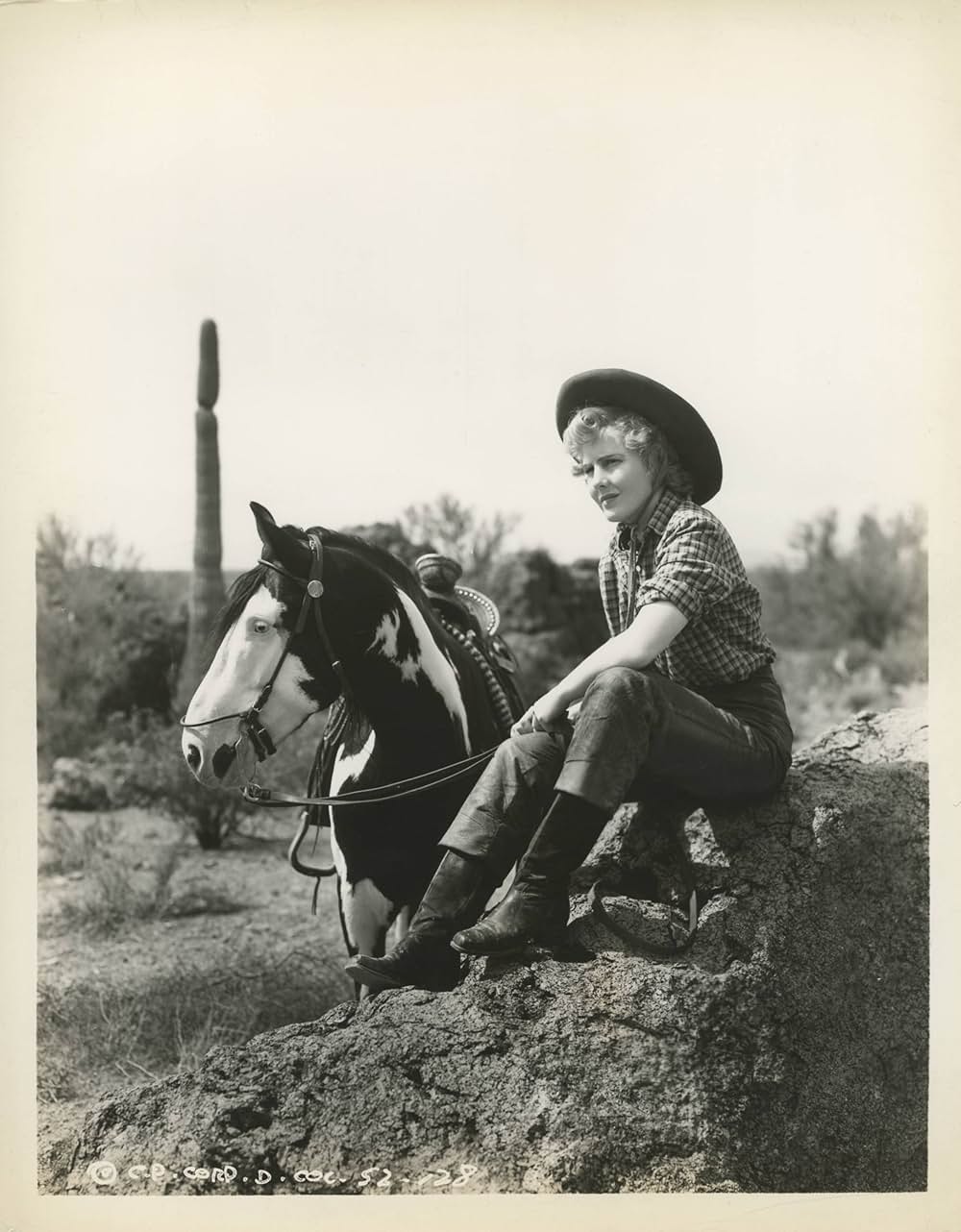 アリゾナの画像