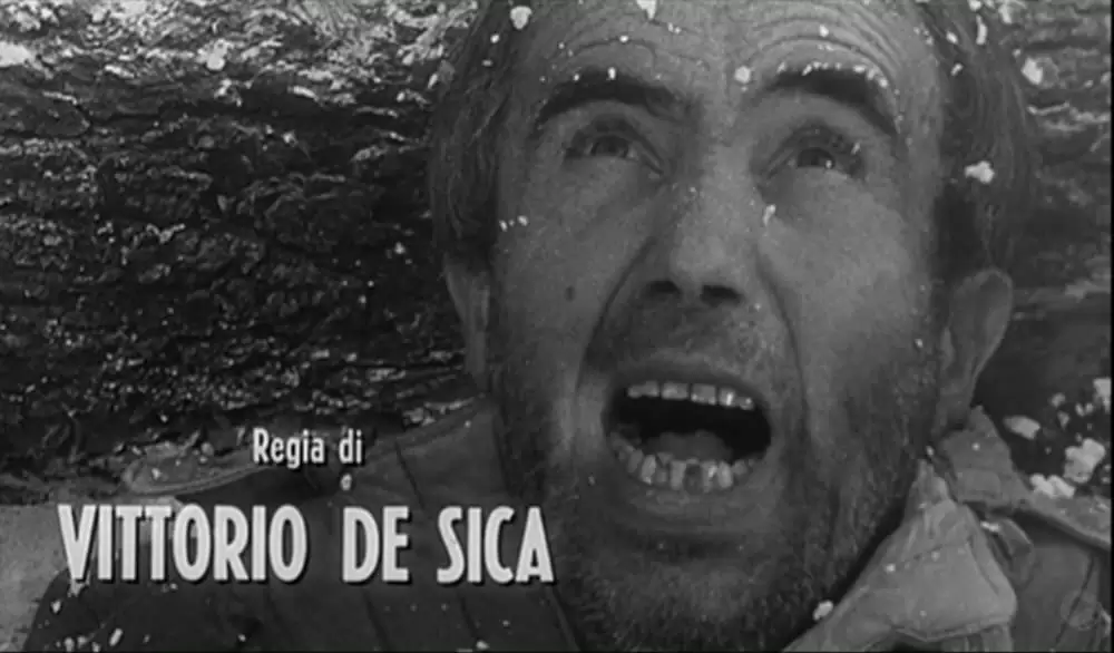 アルトナの画像