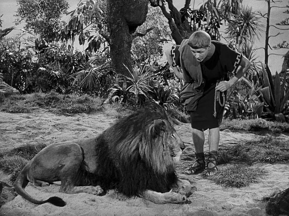 アンドロクレスと獅子（ライオン）の画像